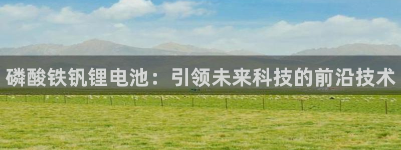 tp钱包查询地址