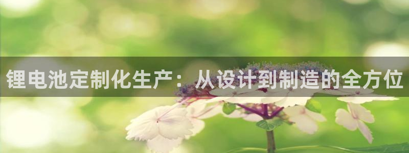 tp钱包怎么切换钱包
