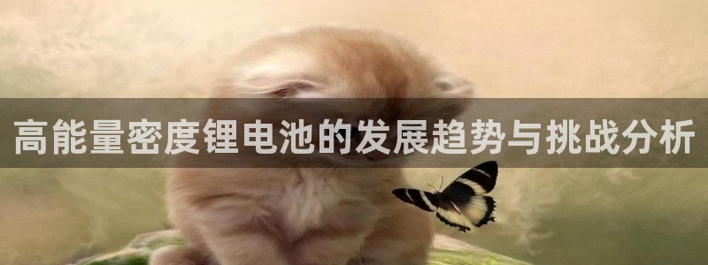 tp钱包手续费多少