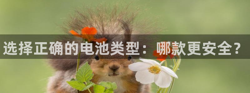tp钱包BNB怎么转到欧昜
