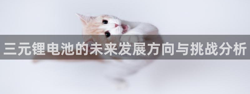 tp钱包怎么清理缓存