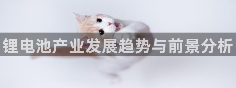 TP钱包安卓下载安装流程