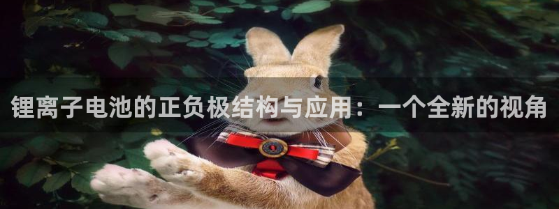 TP钱包下载后无法进入