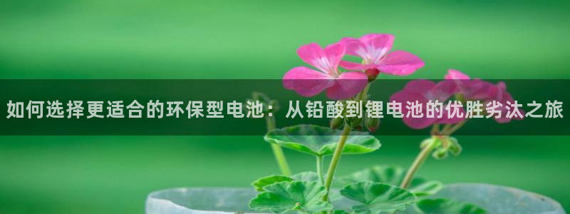 tp钱包怎样取消授权