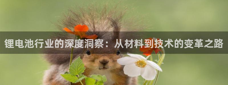 tp钱包流动性不足的币怎么买