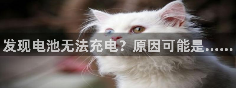tp钱包卡住了