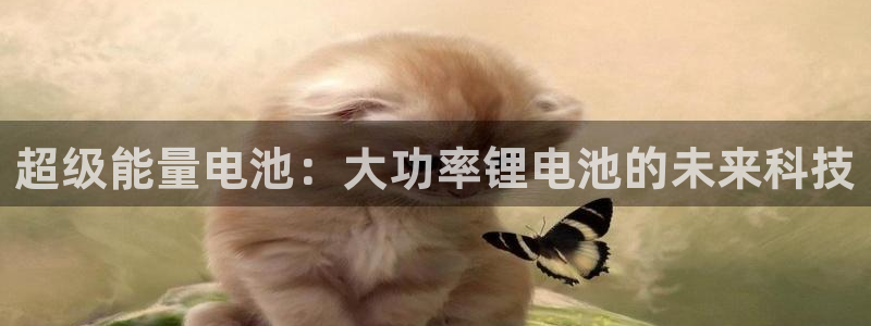 tp钱包里面怎么交易