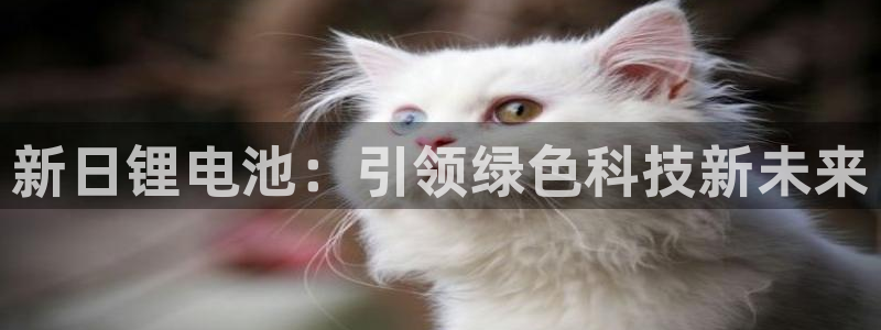 tpt钱包官网